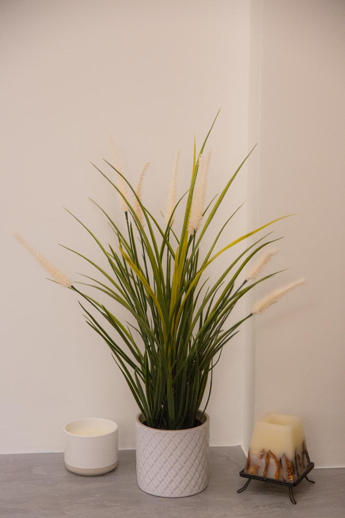 Anasa Studio - Studio Apartment With Yard - Ioannina City Center 外观 照片