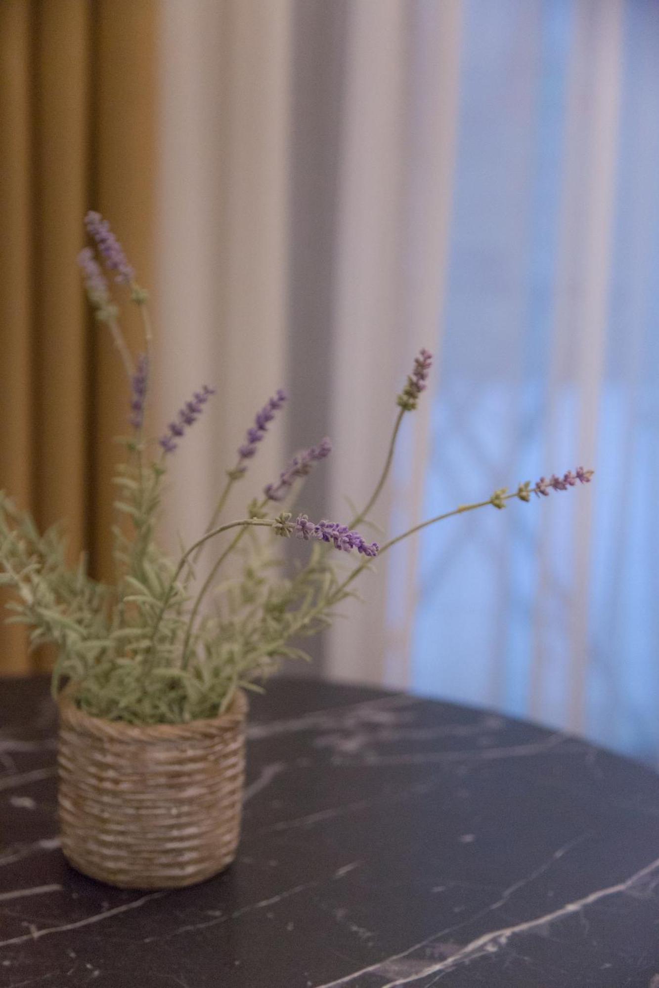 Anasa Studio - Studio Apartment With Yard - Ioannina City Center 外观 照片